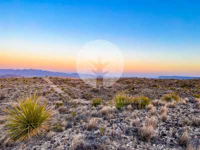 Residential Land For Sale in Terlingua, Texas