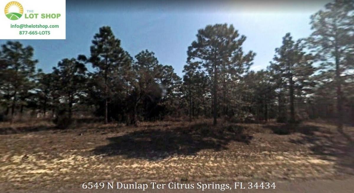 Picture of Residential Land For Sale in Citrus Springs, Florida, United States