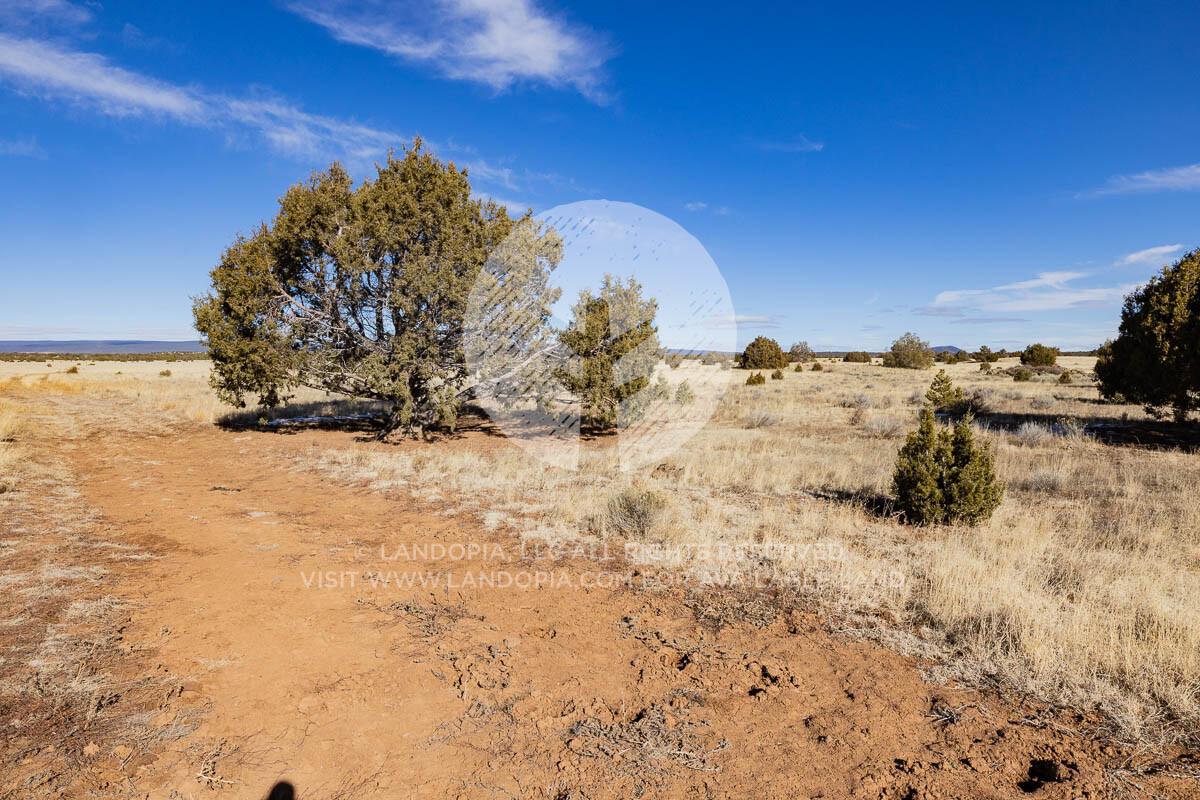 Picture of Residential Land For Sale in Ramah, New Mexico, United States