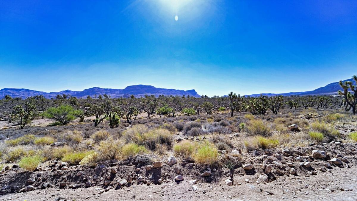 Picture of Residential Land For Sale in Meadview, Arizona, United States