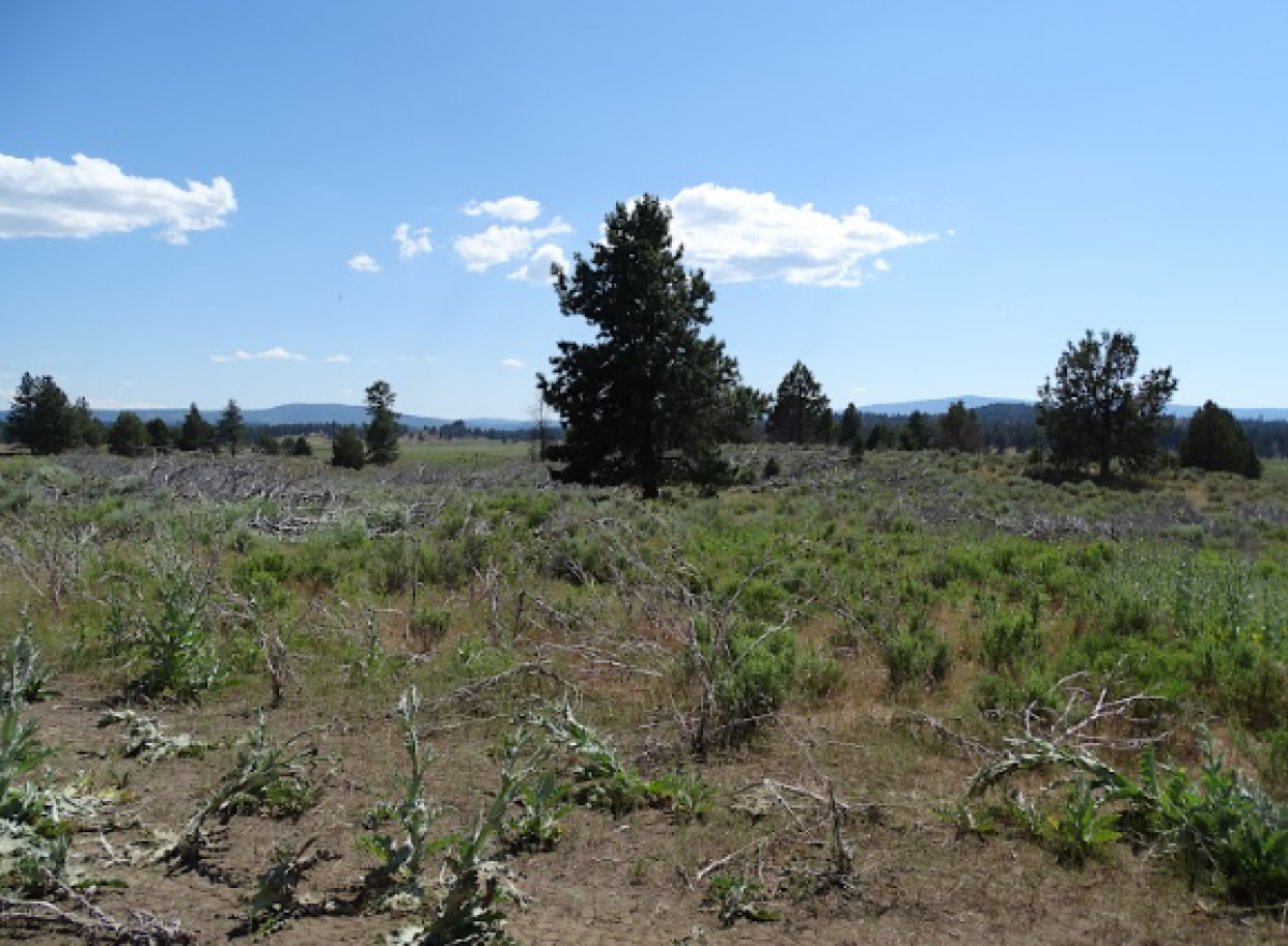 Picture of Residential Land For Sale in Chiloquin, Oregon, United States