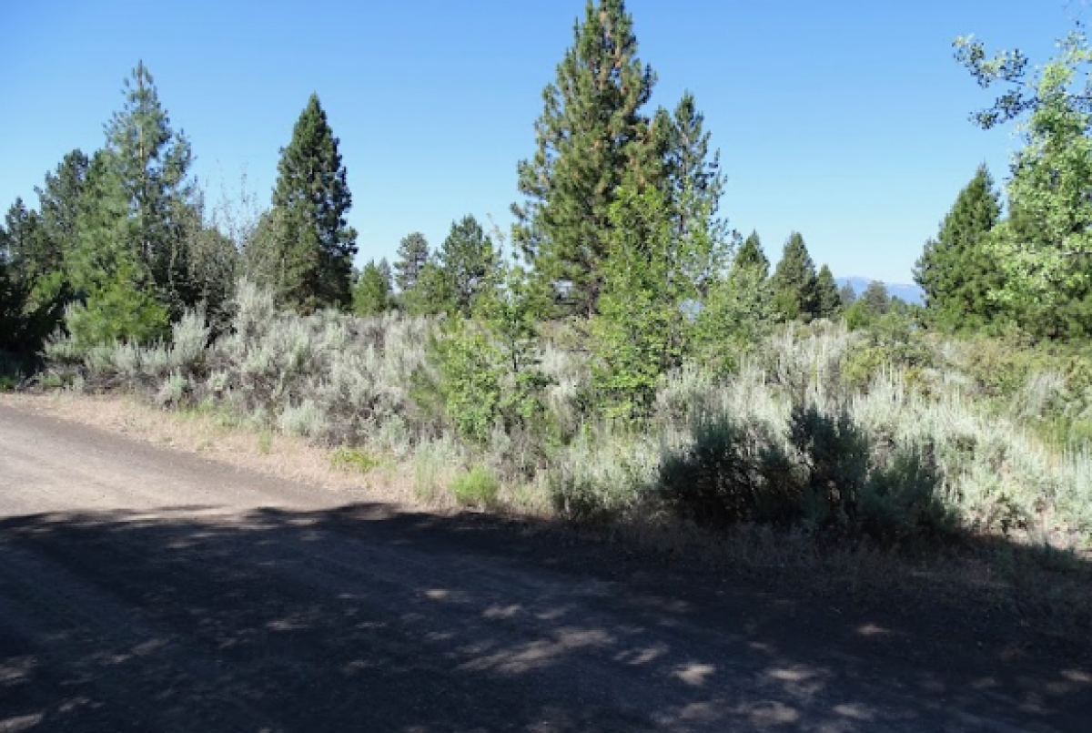 Picture of Residential Land For Sale in Chiloquin, Oregon, United States