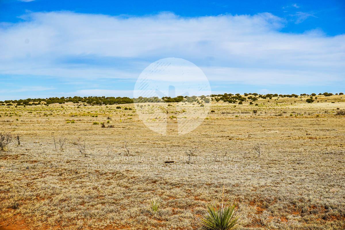 Picture of Residential Land For Sale in Moriarty, New Mexico, United States