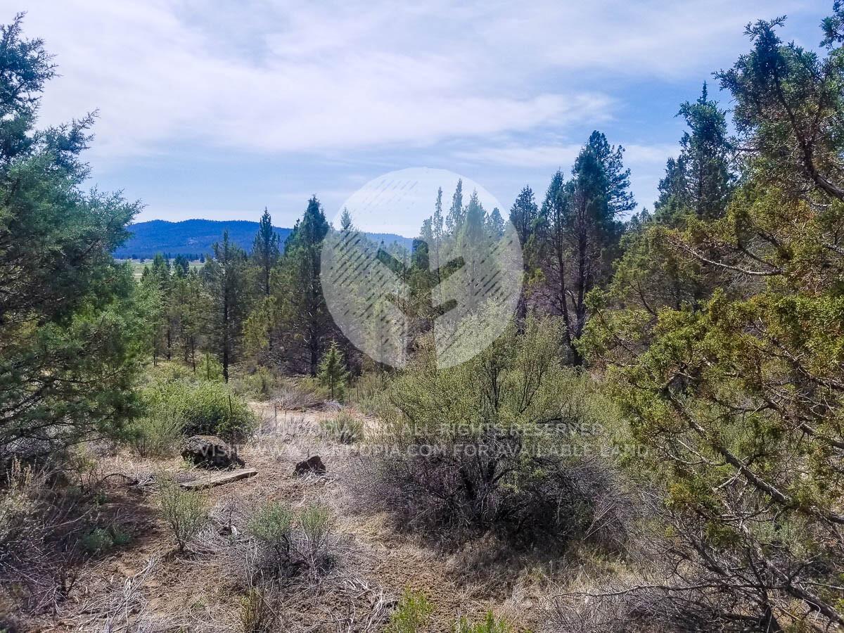 Picture of Residential Land For Sale in Chiloquin, Oregon, United States