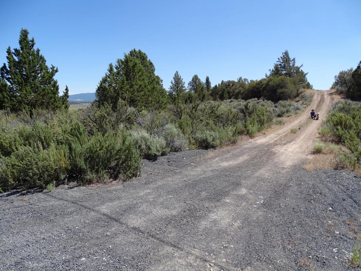 Picture of Residential Land For Sale in Chiloquin, Oregon, United States