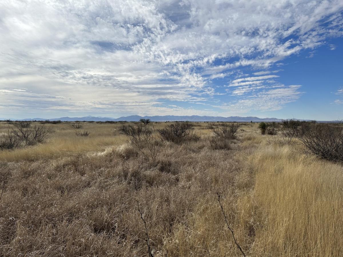 Picture of Residential Land For Sale in McNeal, Arizona, United States