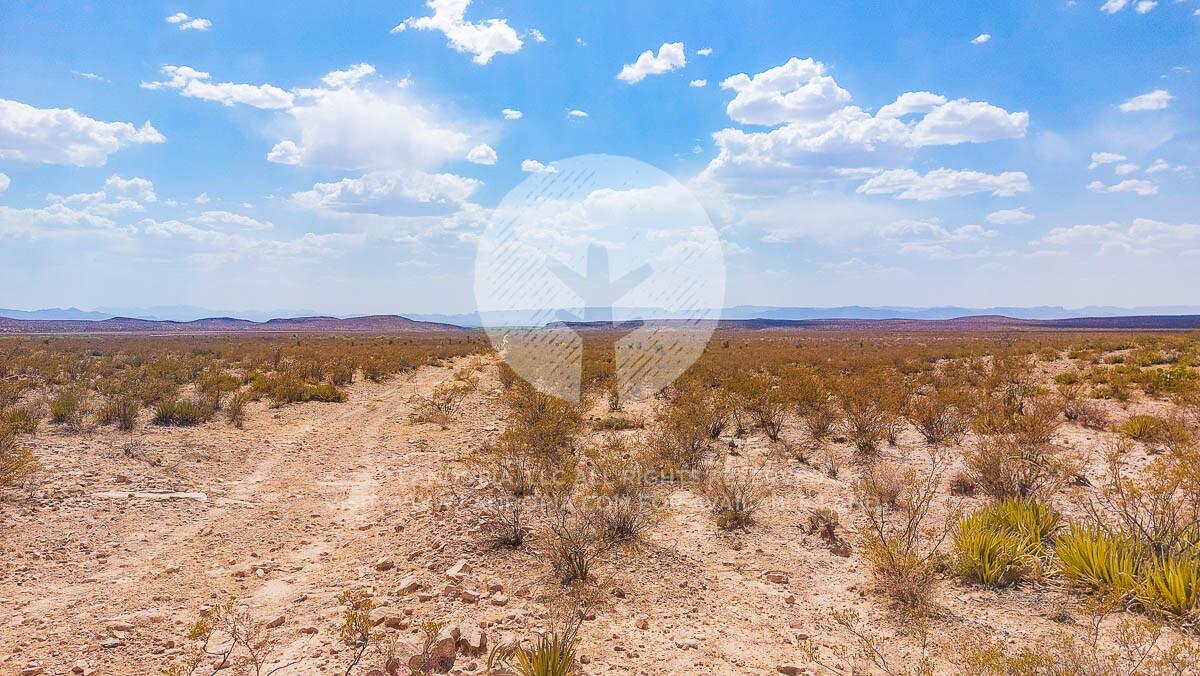 Picture of Residential Land For Sale in Van Horn, Texas, United States