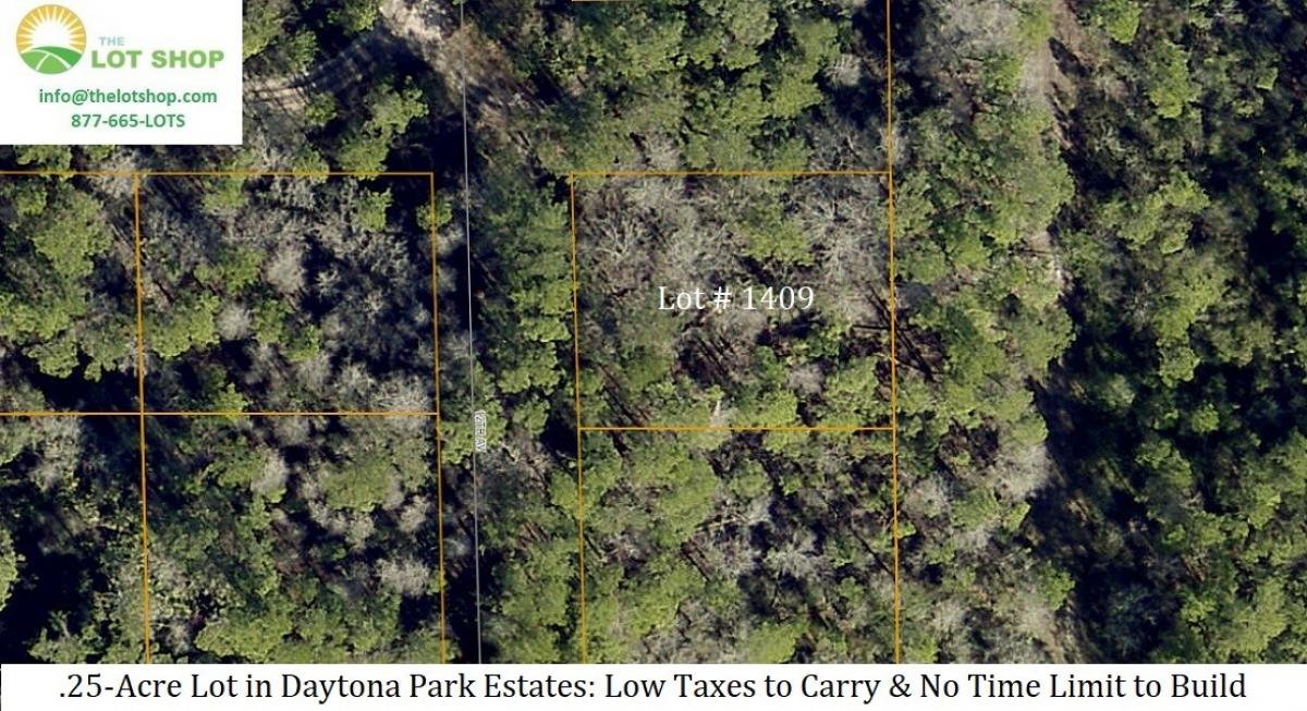 Picture of Residential Land For Sale in Deland, Florida, United States