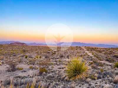 Residential Land For Sale in Terlingua, Texas