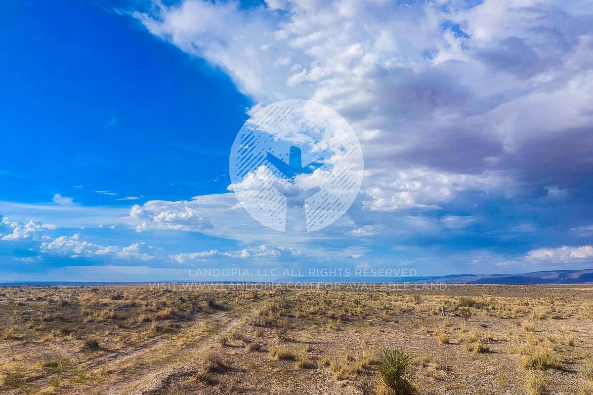 Picture of Residential Land For Sale in Salt Flat, Texas, United States