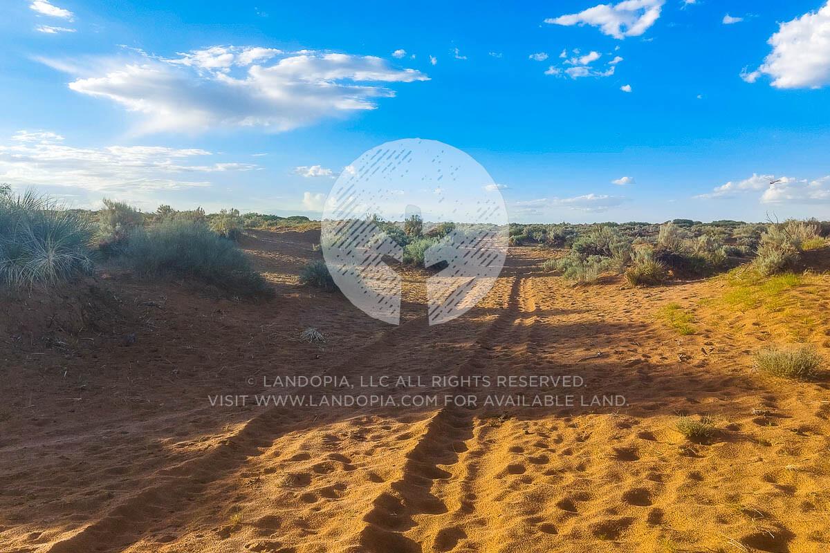 Picture of Residential Land For Sale in Fort Hancock, Texas, United States