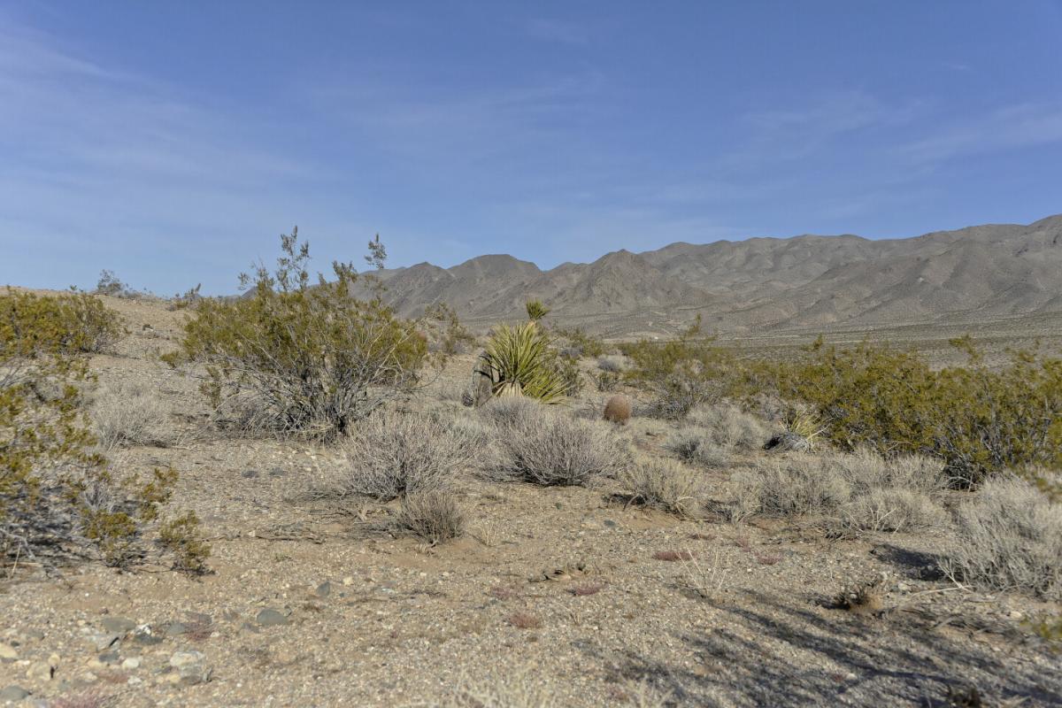 Picture of Residential Land For Sale in Meadview, Arizona, United States