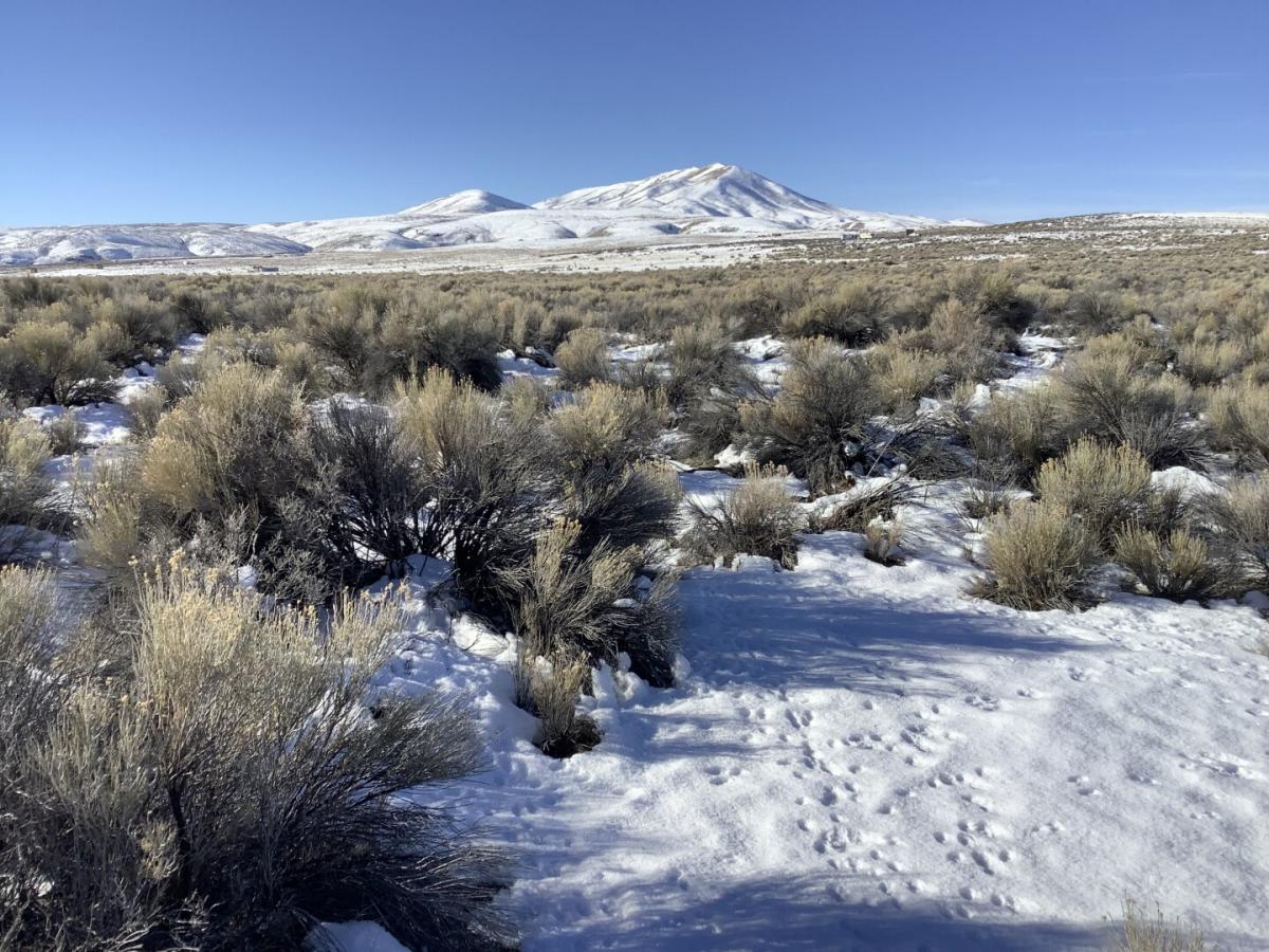 Picture of Residential Land For Sale in Elko, Nevada, United States