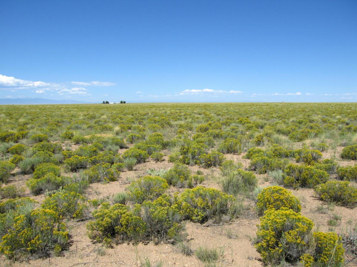 Picture of Residential Land For Sale in Blanca, Colorado, United States