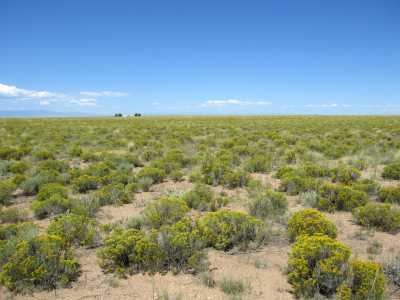 Residential Land For Sale in Blanca, Colorado