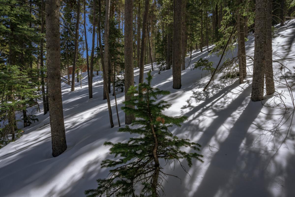 Picture of Residential Land For Sale in Idaho Springs, Colorado, United States