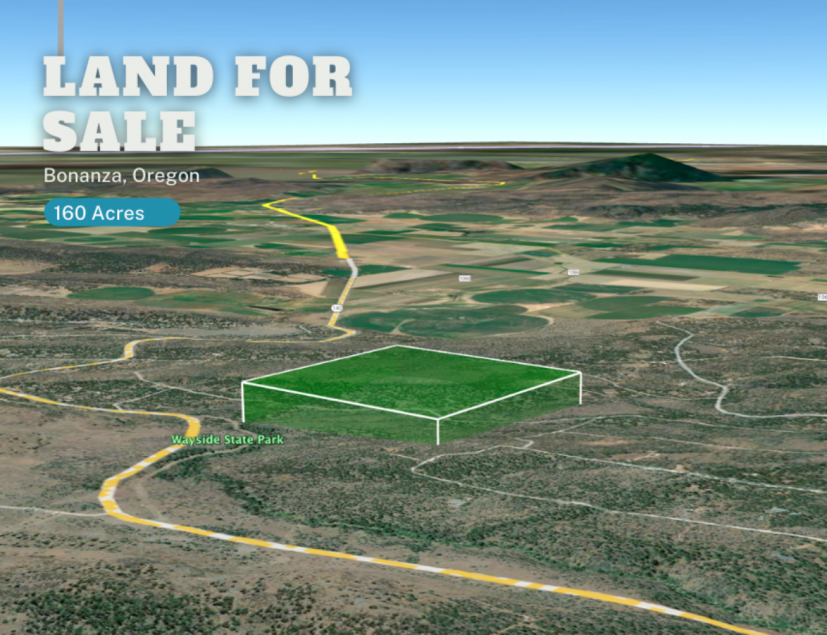 Picture of Residential Land For Sale in Bonanza, Oregon, United States