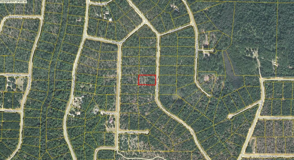 Picture of Residential Land For Sale in Alford, Florida, United States