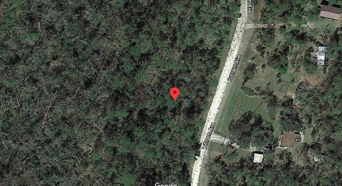 Picture of Residential Land For Sale in Alford, Florida, United States