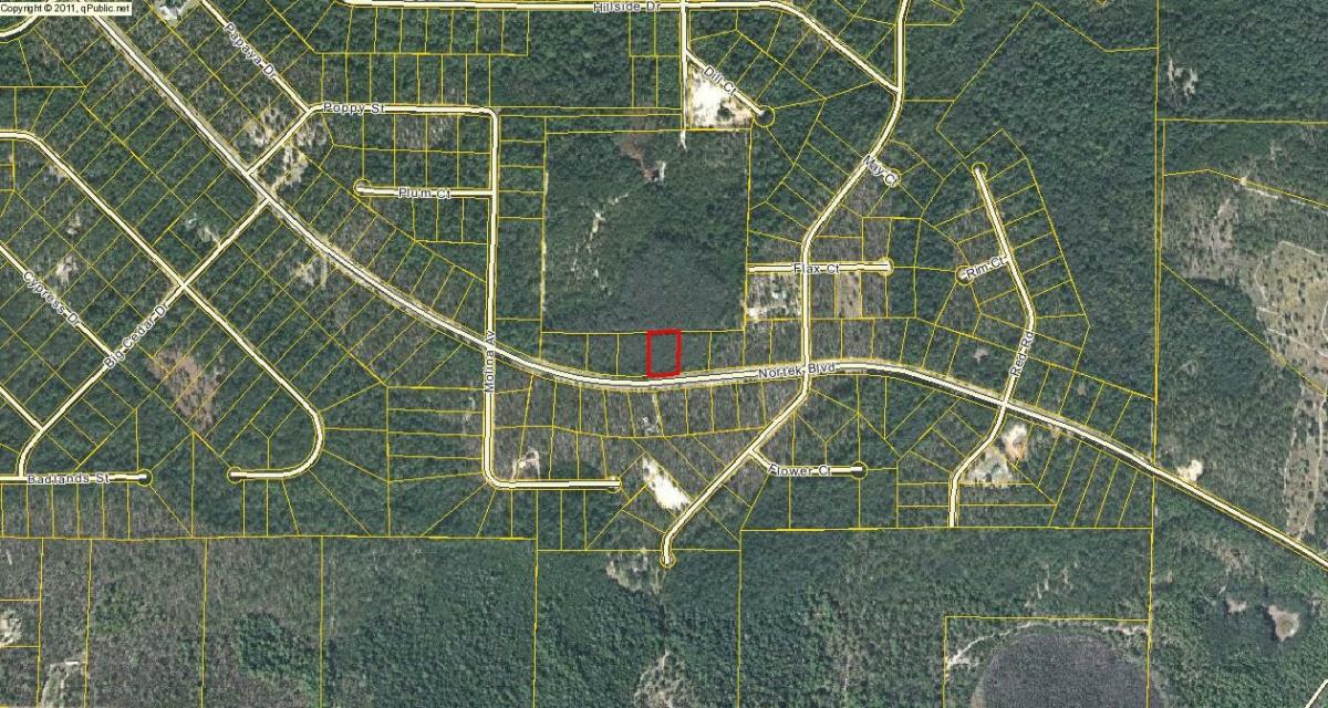 Picture of Residential Land For Sale in Marianna, Florida, United States