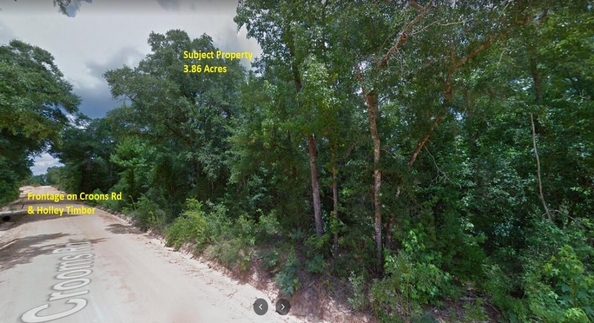 Picture of Residential Land For Sale in Cottondale, Florida, United States