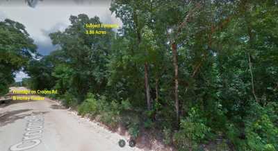 Residential Land For Sale in Cottondale, Florida