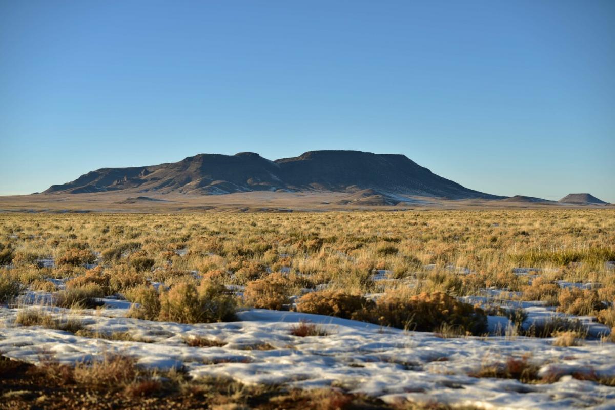 Picture of Residential Land For Sale in San Luis, Colorado, United States