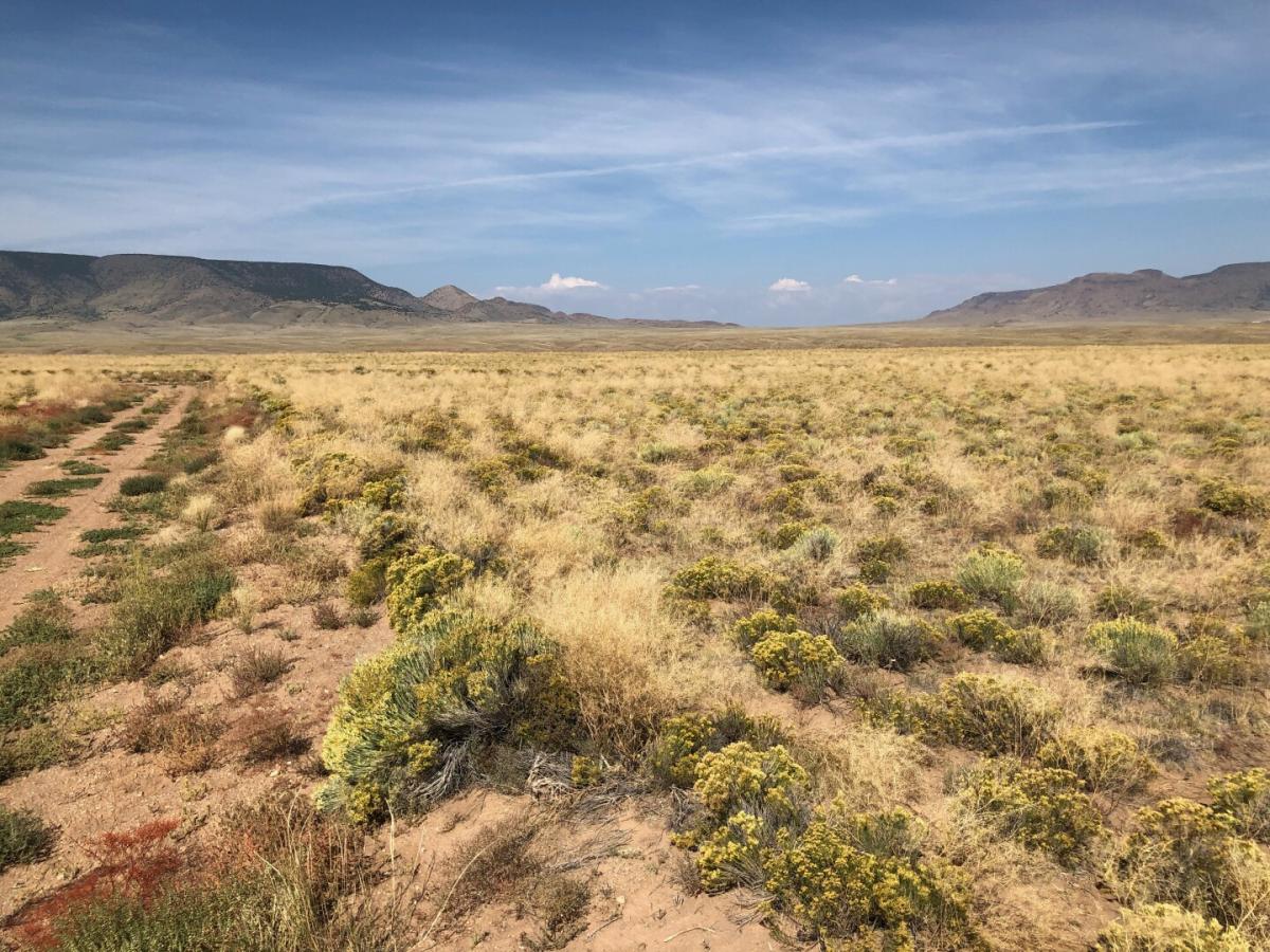 Picture of Residential Land For Sale in Sanford, Colorado, United States