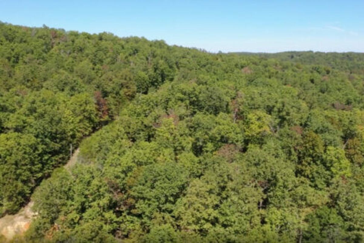 Picture of Residential Land For Sale in Hardy, Arkansas, United States