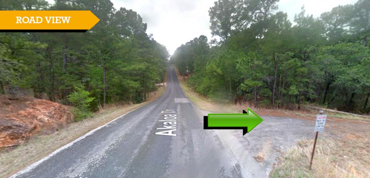 Picture of Residential Land For Sale in Bastrop, Texas, United States