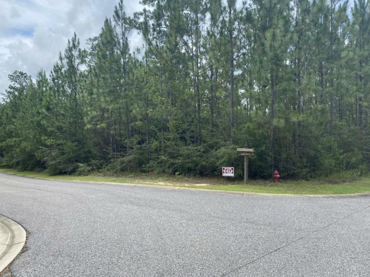 Picture of Residential Land For Sale in Brewton, Alabama, United States