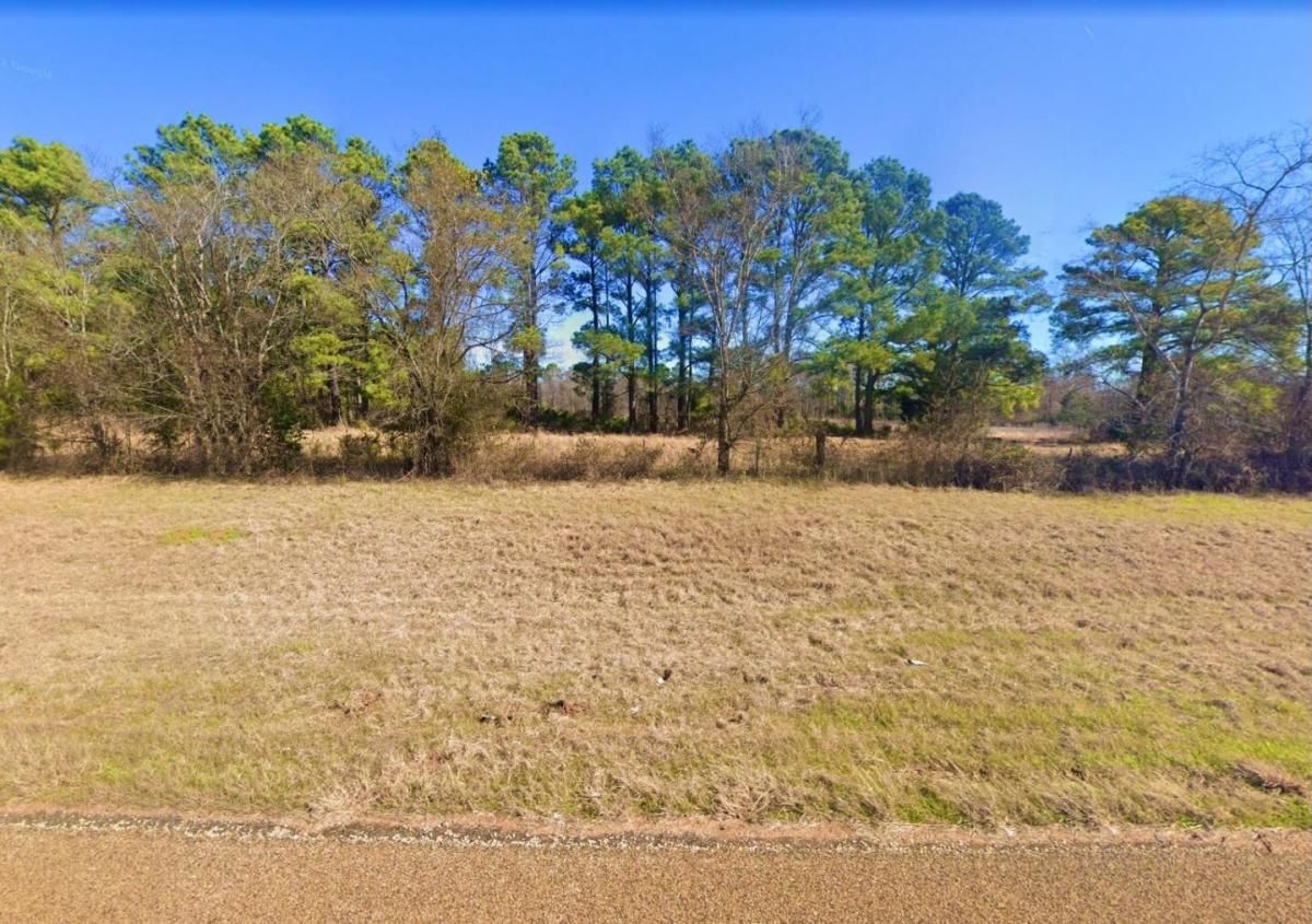 Picture of Residential Land For Sale in Flint, Texas, United States