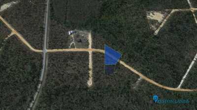 Residential Land For Sale in Marianna, Florida