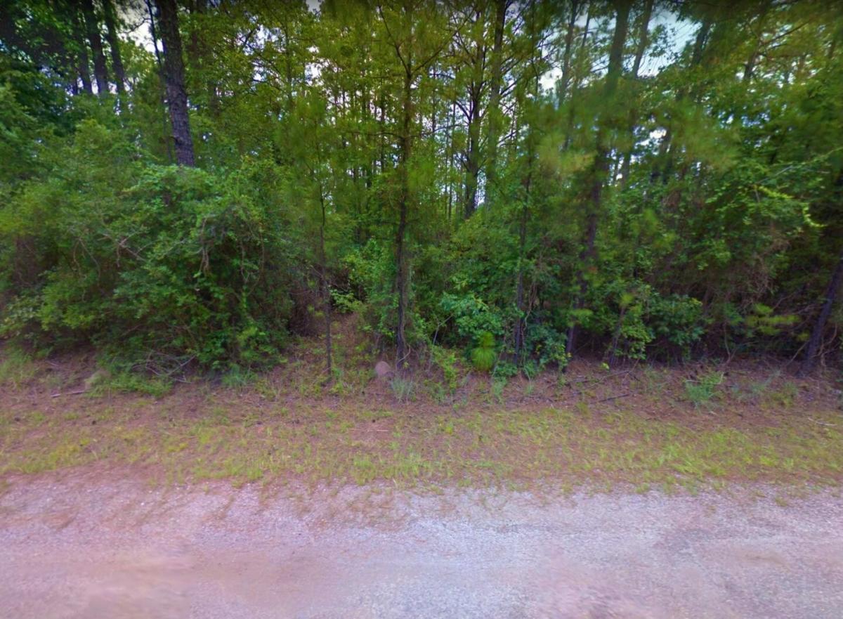 Picture of Residential Land For Sale in Brookeland, Texas, United States