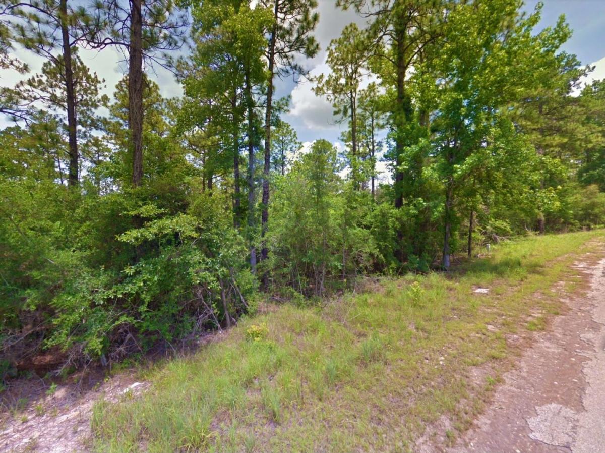 Picture of Residential Land For Sale in Brookeland, Texas, United States