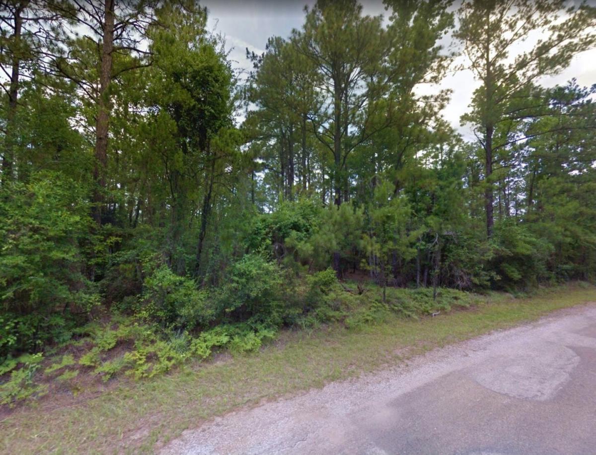 Picture of Residential Land For Sale in Brookeland, Texas, United States