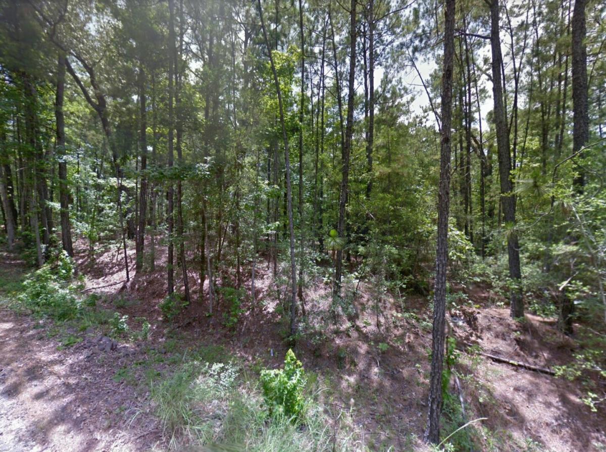 Picture of Residential Land For Sale in Brookeland, Texas, United States