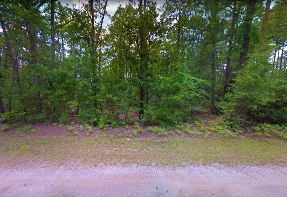 Picture of Residential Land For Sale in Brookeland, Texas, United States