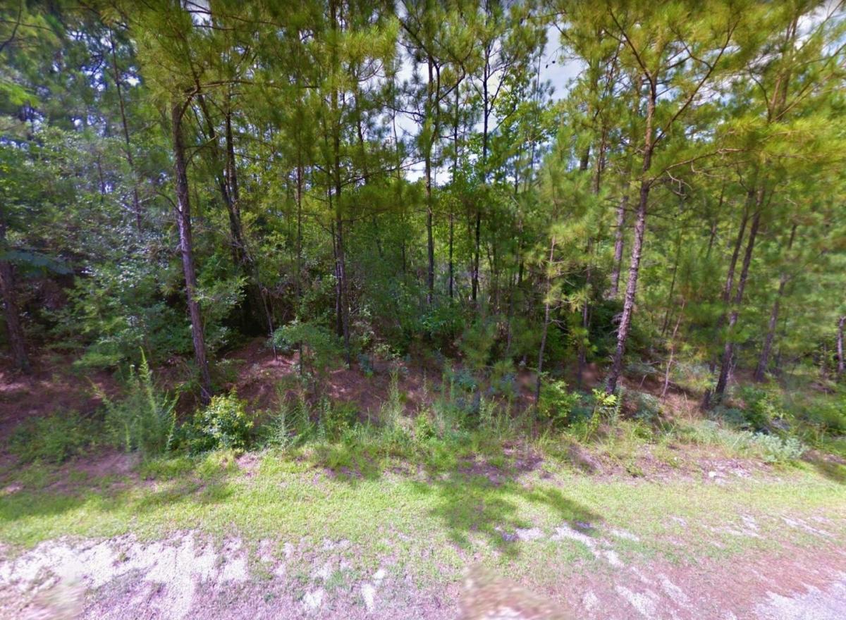 Picture of Residential Land For Sale in Brookeland, Texas, United States