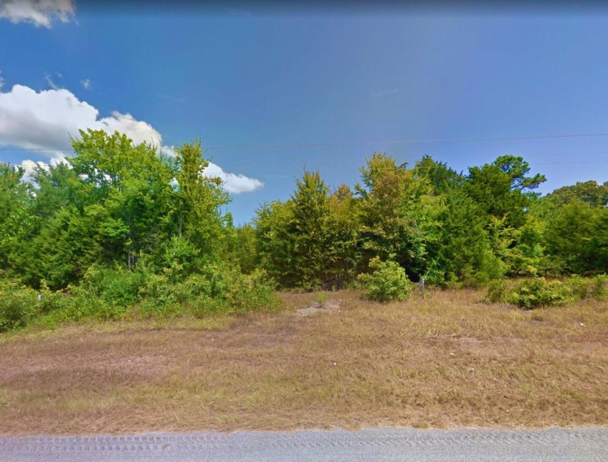 Picture of Residential Land For Sale in Frankston, Texas, United States