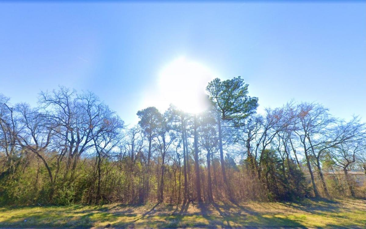 Picture of Residential Land For Sale in Flint, Texas, United States