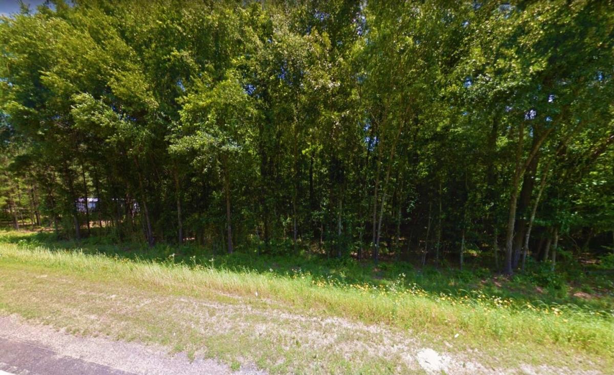 Picture of Residential Land For Sale in Coldspring, Texas, United States