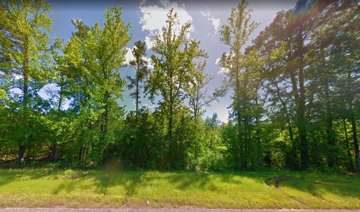 Picture of Residential Land For Sale in Jefferson, Texas, United States