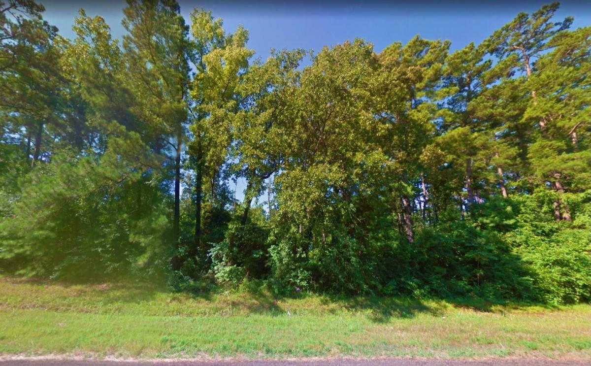 Picture of Residential Land For Sale in Jefferson, Texas, United States