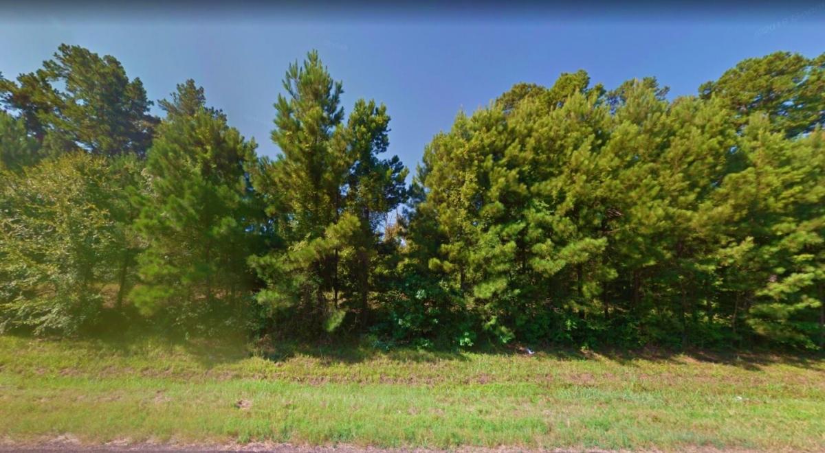 Picture of Residential Land For Sale in Jefferson, Texas, United States