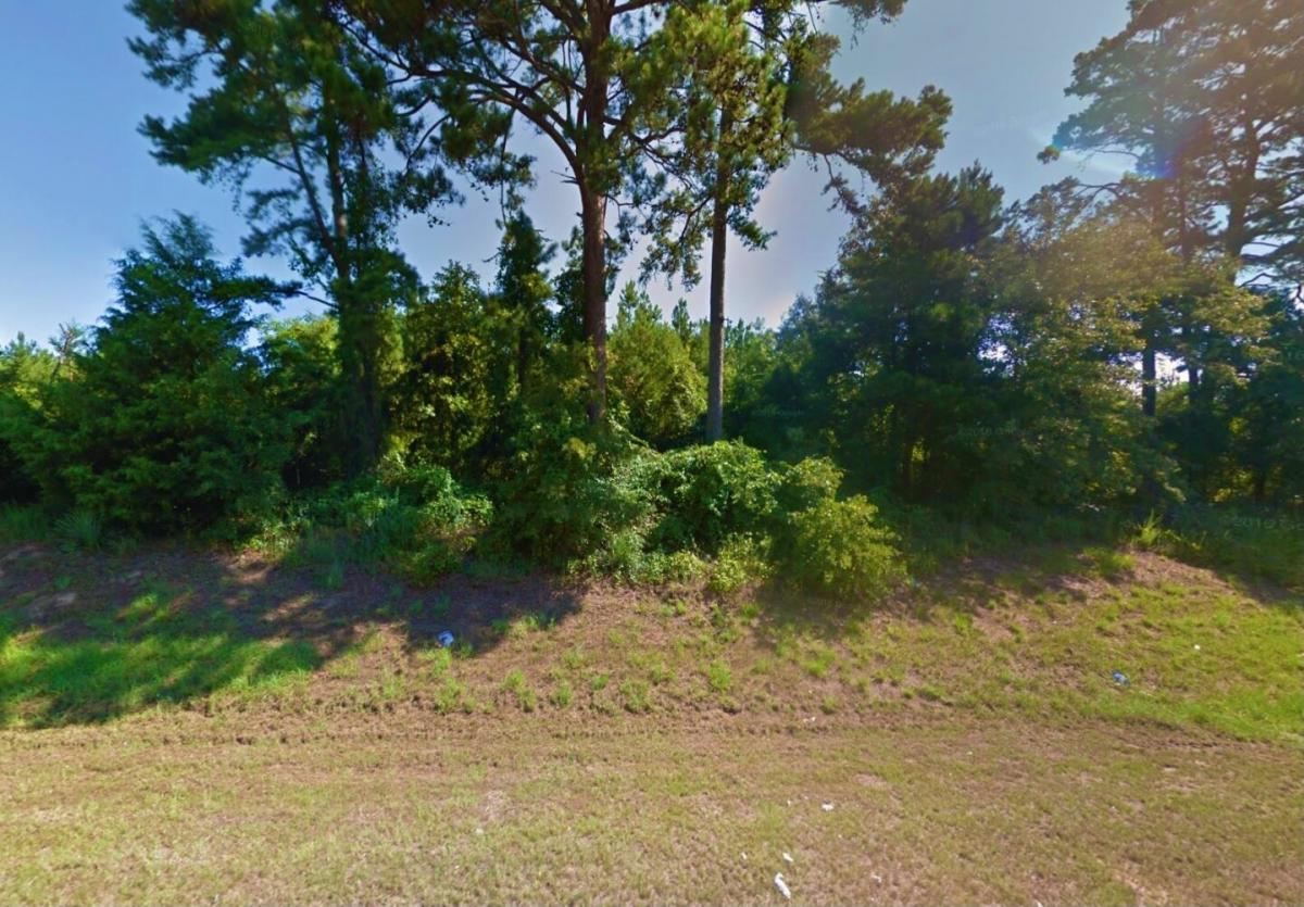 Picture of Residential Land For Sale in Avinger, Texas, United States