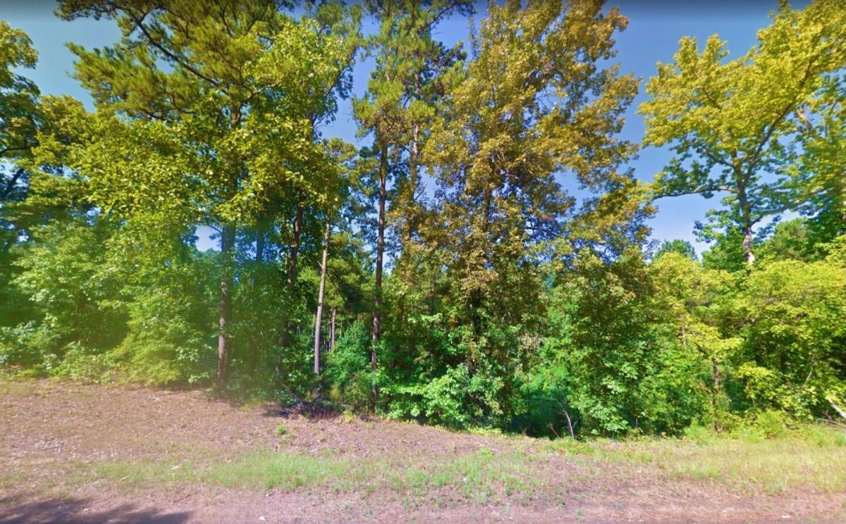 Picture of Residential Land For Sale in Avinger, Texas, United States