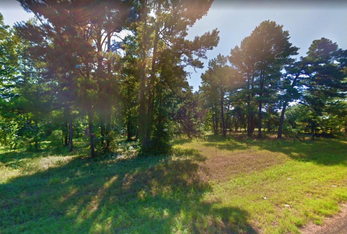 Picture of Residential Land For Sale in Avinger, Texas, United States