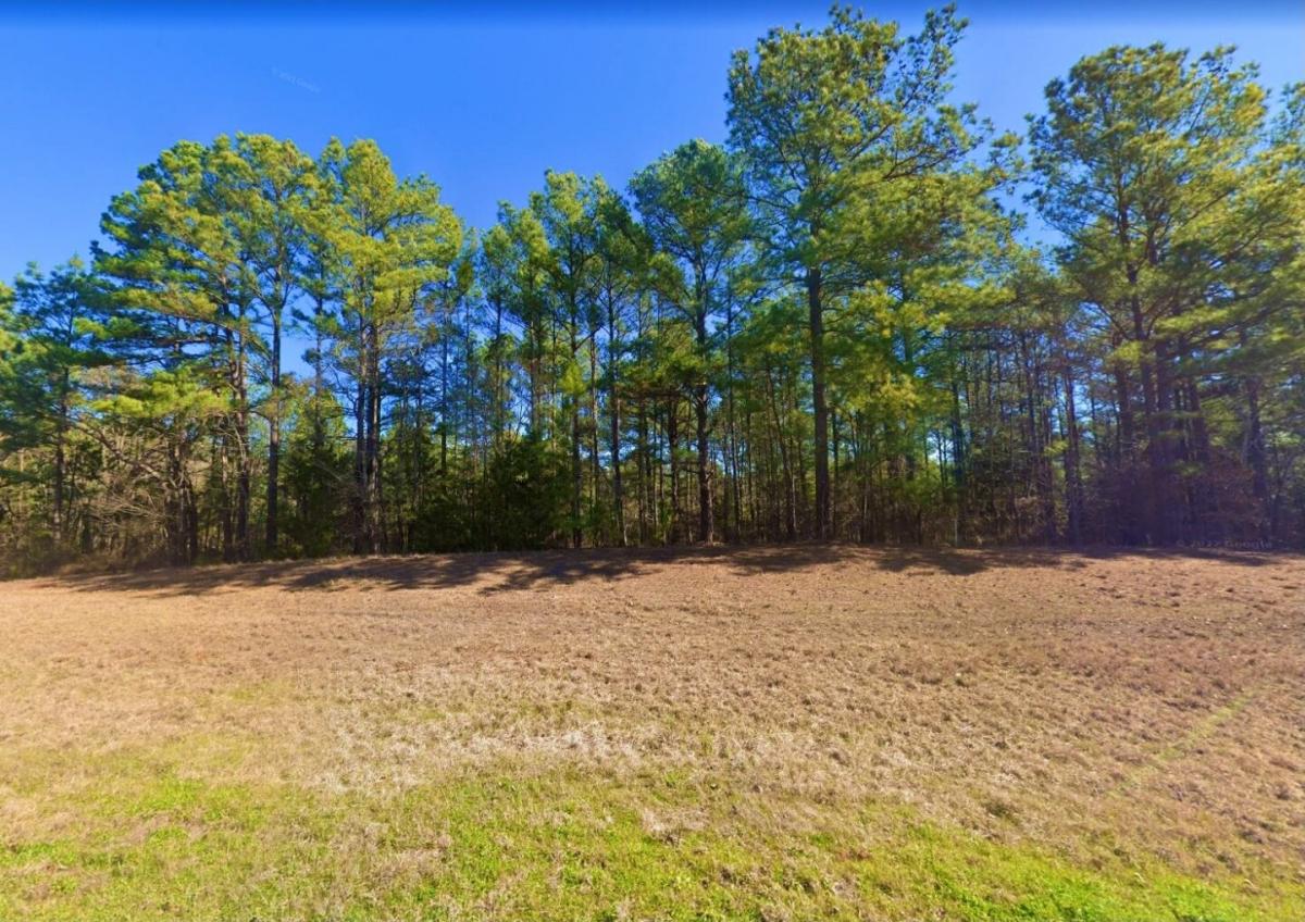 Picture of Residential Land For Sale in Avinger, Texas, United States