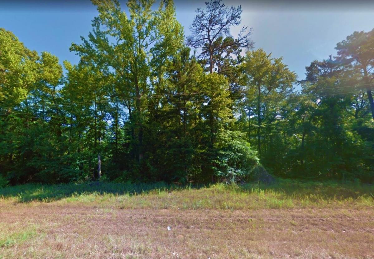 Picture of Residential Land For Sale in Avinger, Texas, United States